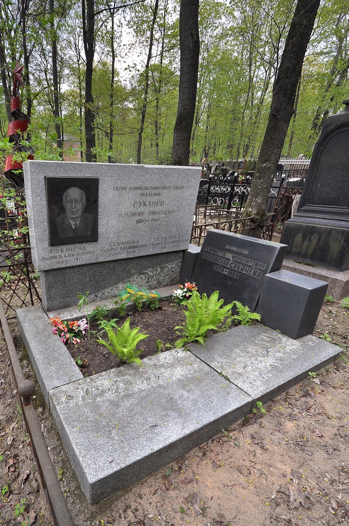 Tomb of Russian geobotanist, engineer and geographer Vladimir Sukachev by IPAAT