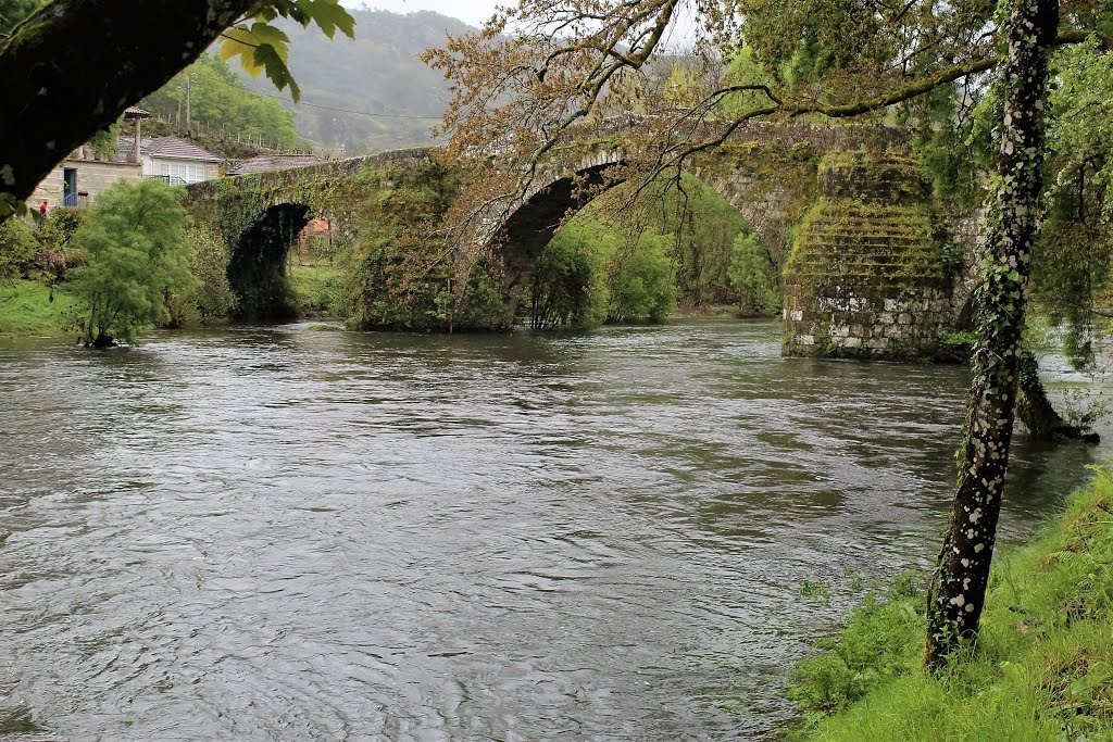 Ponte medieval de San Clodio by Jesús Simón