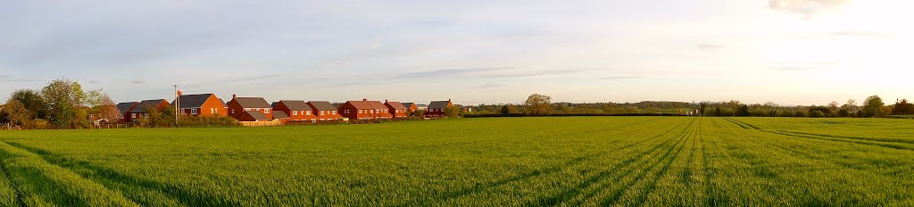 Gnosall fields by Shaun Jones