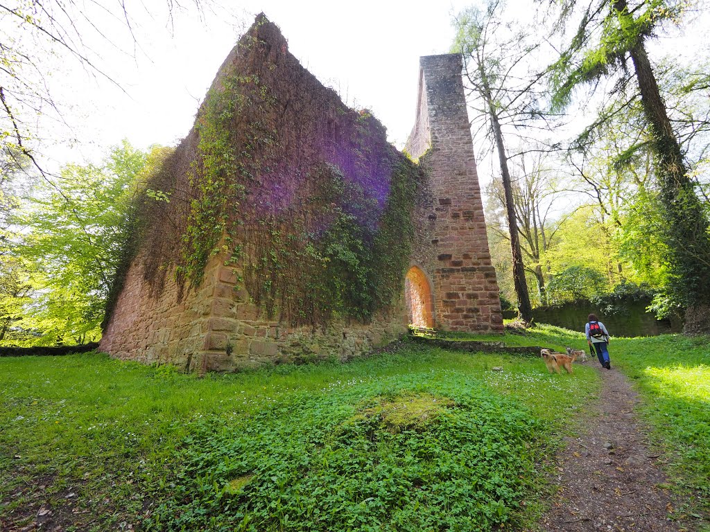 Burg Stolzeneck, Hauptburg by Lochenstein