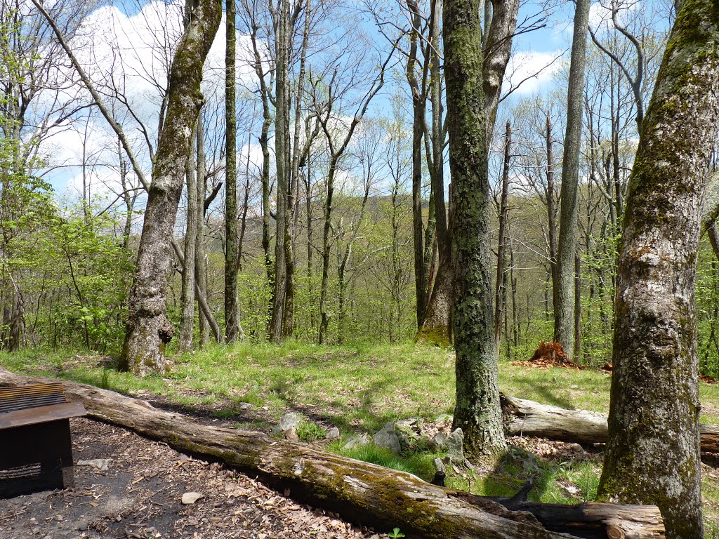 Floyd Field to Bryant Ridge Shelter by '- '