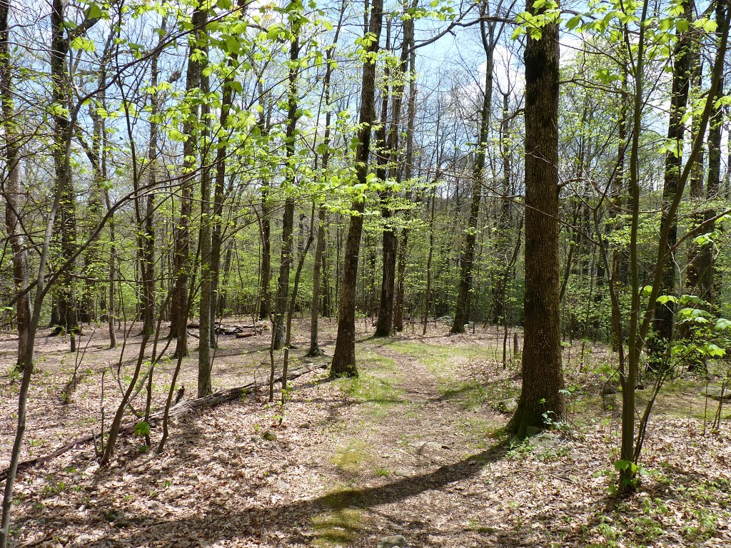 Floyd Field to Bryant Ridge Shelter by '- '