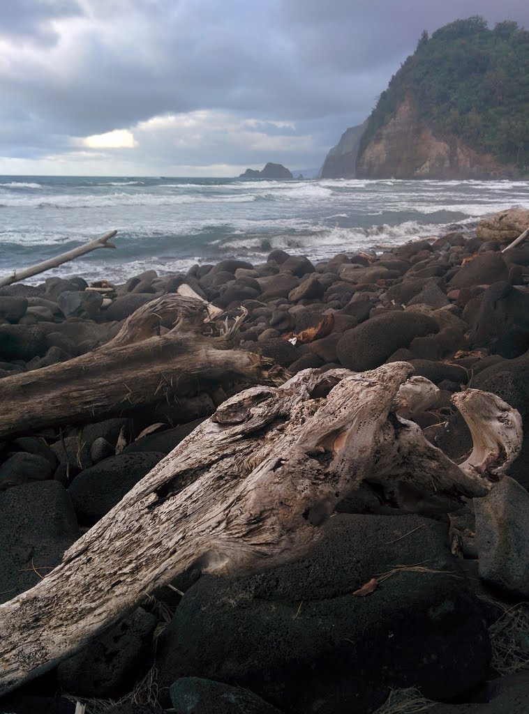 Hilo, HI, USA by Frederic Leroudier