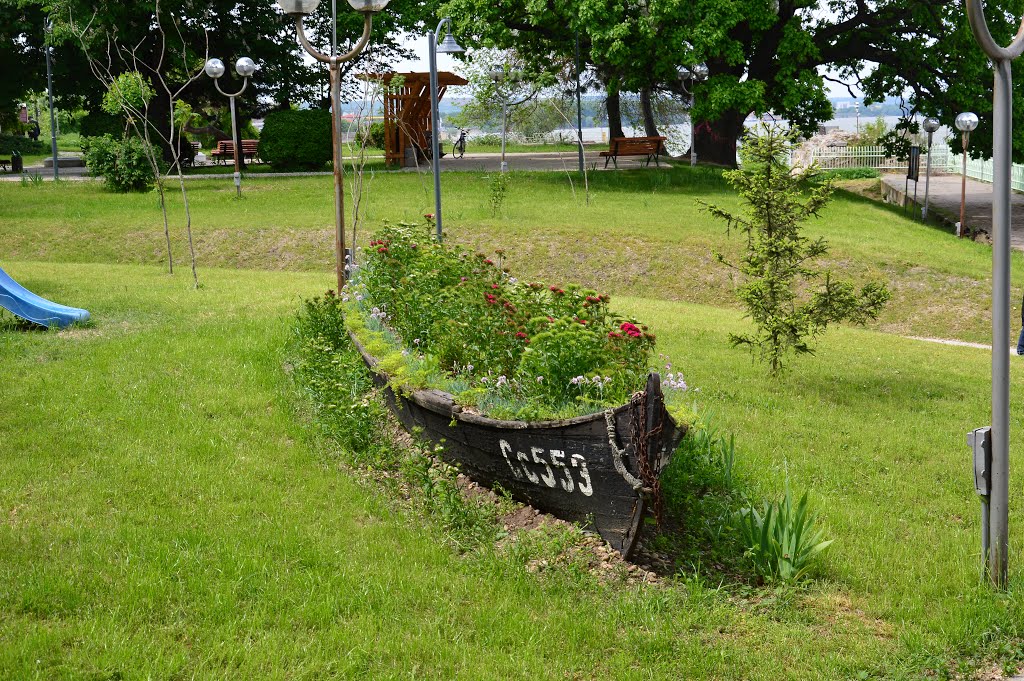 Silistra Danube garden by Georgi Kirtchev