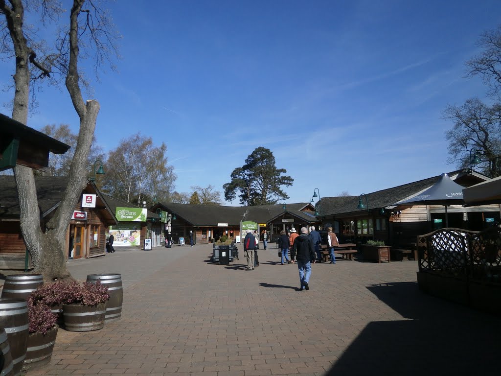 Trentham Shopping Village, Trentham, Staffordshire by glosters