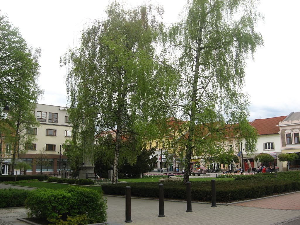 Liptovský Mikuláš, Slovakia by Svitlana Lukomska