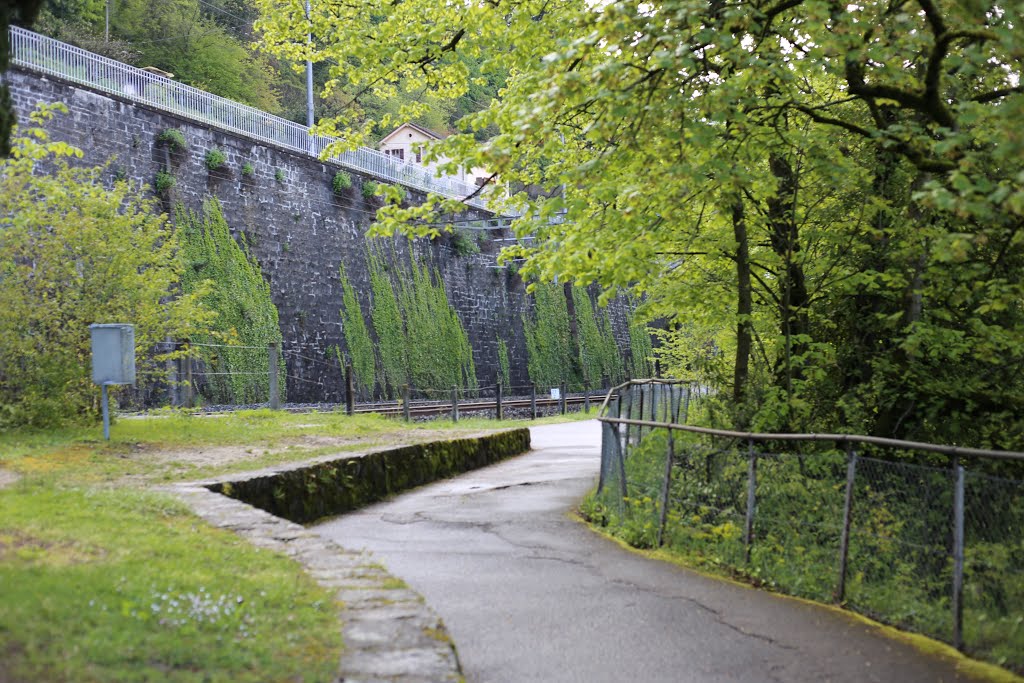 Veytaux, Switzerland by Rafael Dolinski