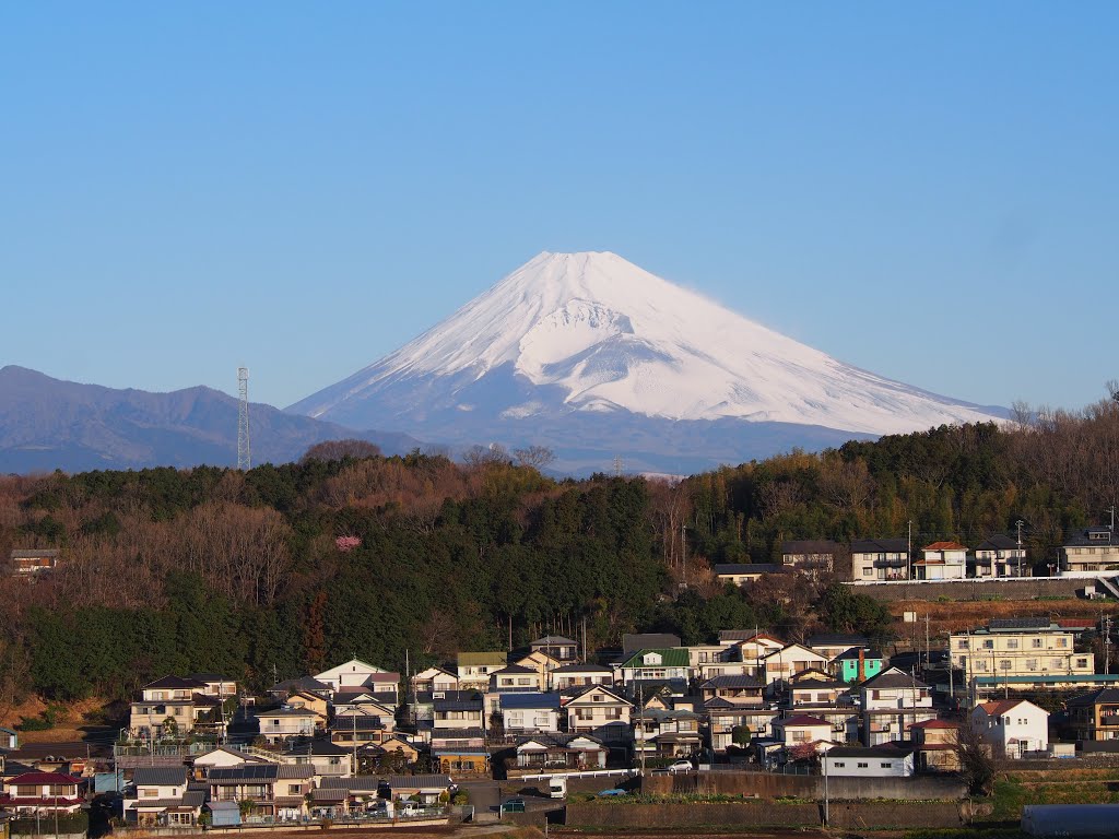 Hirai, Kannami, Tagata District, Shizuoka Prefecture 419-0107, Japan by 小西天