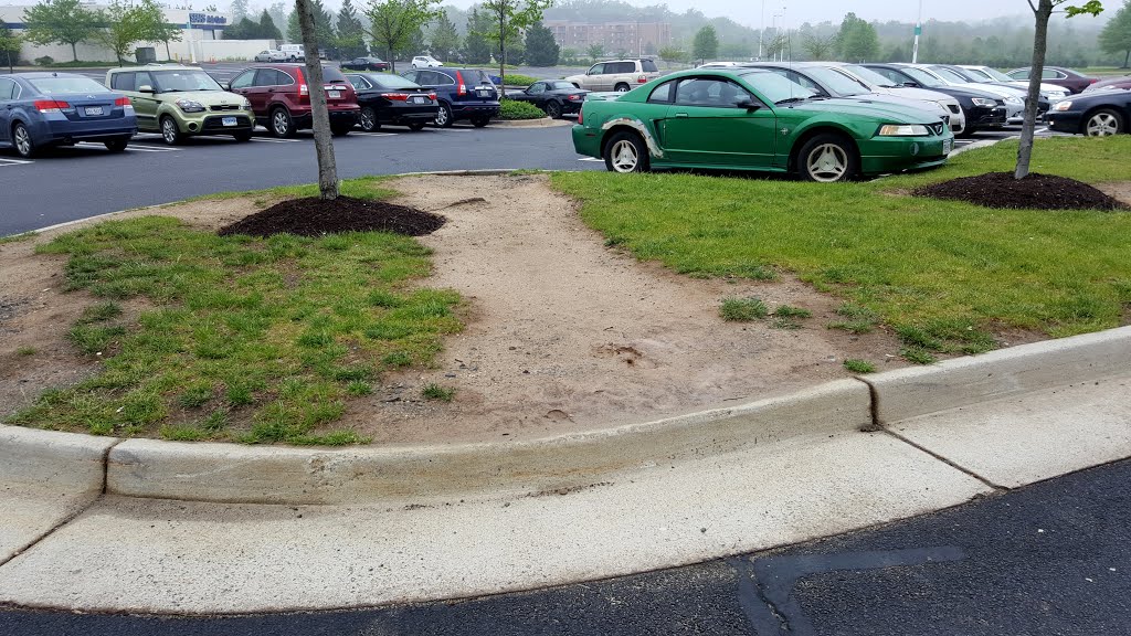 Desire path at Dulles Town Center by Ben Schumin