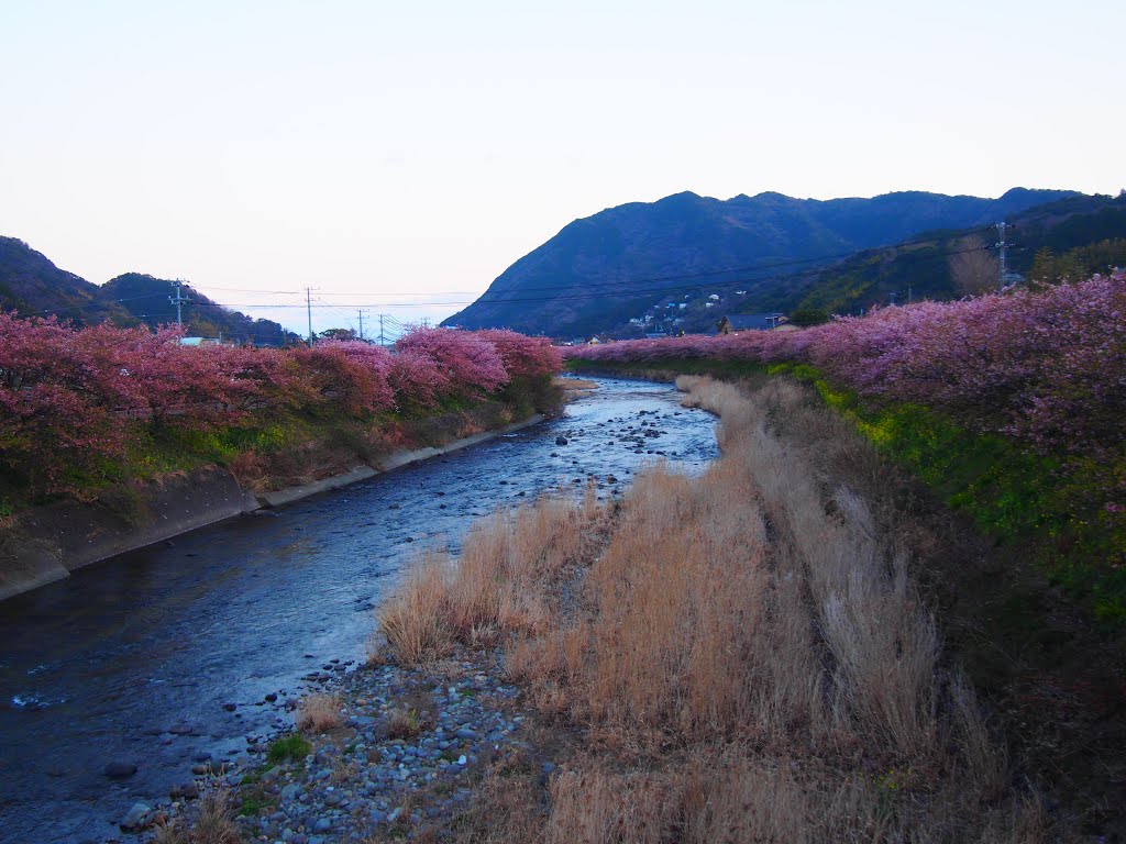 Sawada, Kawazu, Kamo District, Shizuoka Prefecture 413-0505, Japan by 小西天