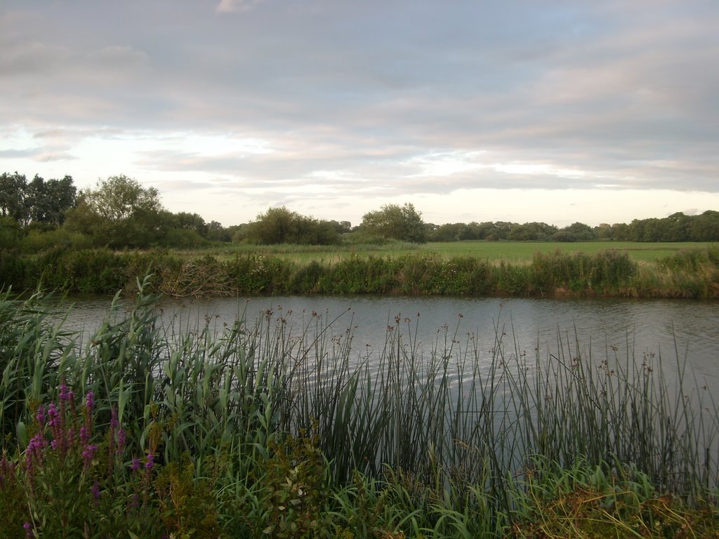 Wytham, UK by andy thompsett