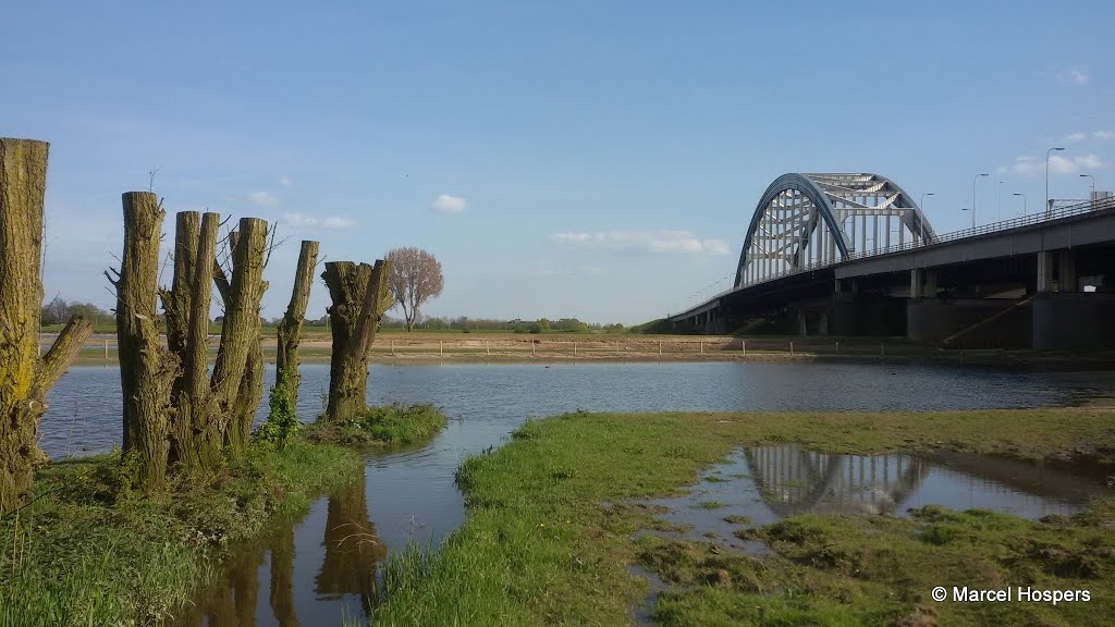 Nieuwegein - Bossche Waard recent aangelegd van akkerbouwgebied naar overstromingsnatuurgebied by Marcel Hospers