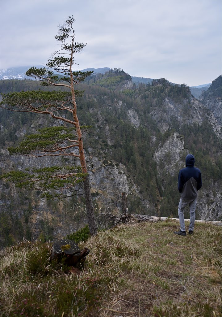 Ötschergräben - Marienblick by Normann Steidl