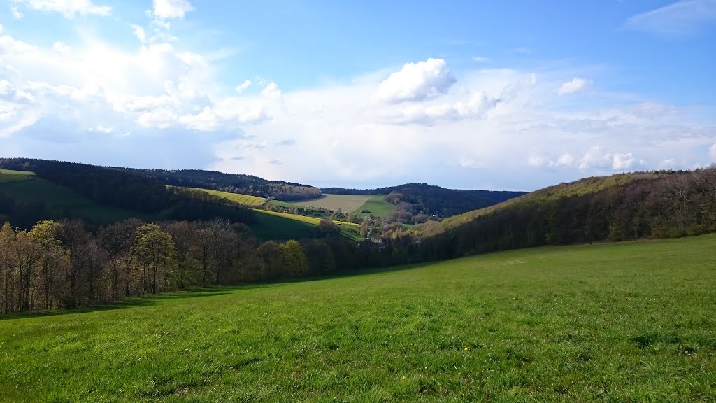 Bad Gottleuba-Berggießhübel, Germany by AR88