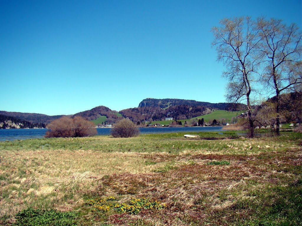 Dent de Vaullion et lac de Joux by Courtin jerome