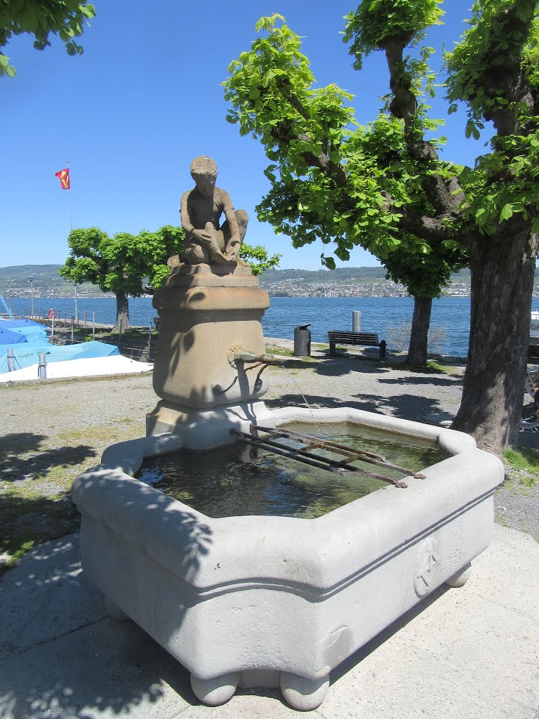 1916 Wädenswil by Brunnen Lü. Q.