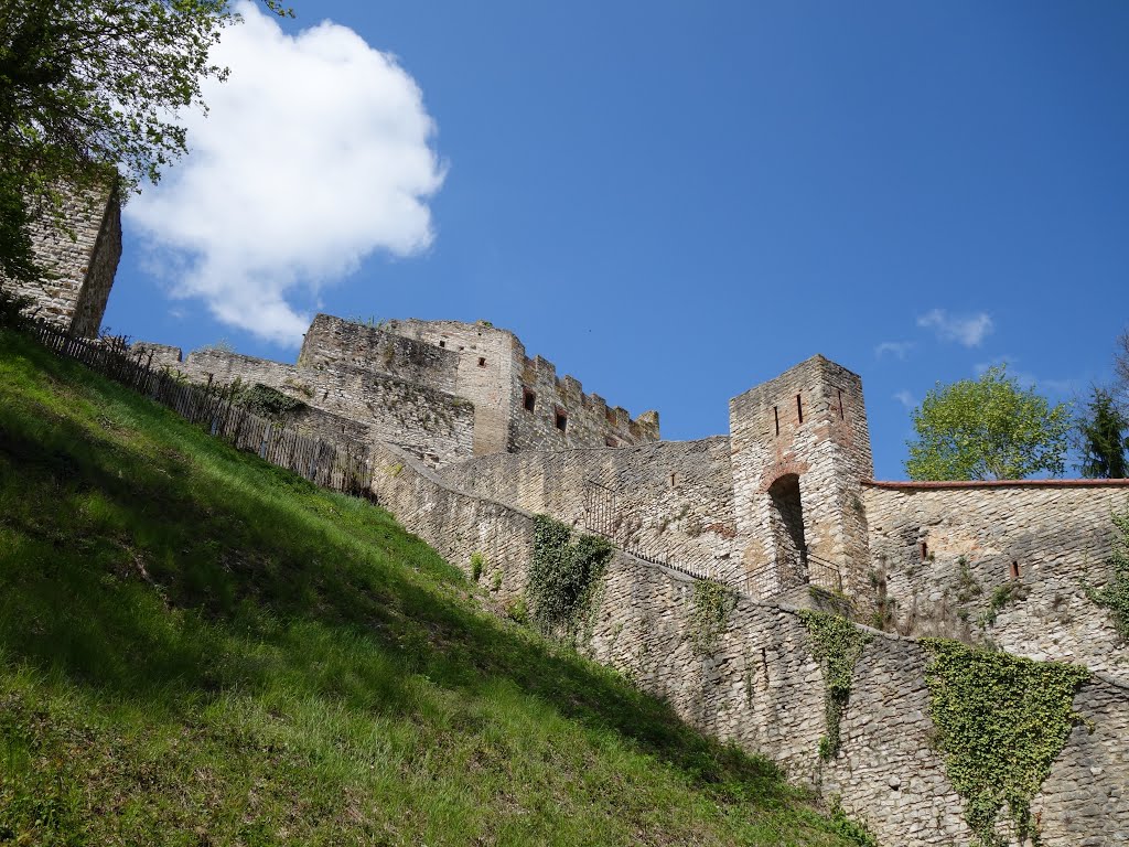 Burg Pappenheim by Detlef Hähnlein