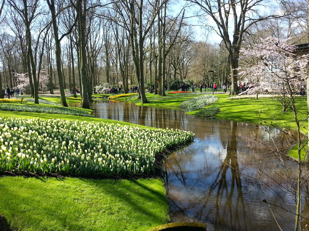 Keukenhof Gardens Netherlands by Ako Jamal