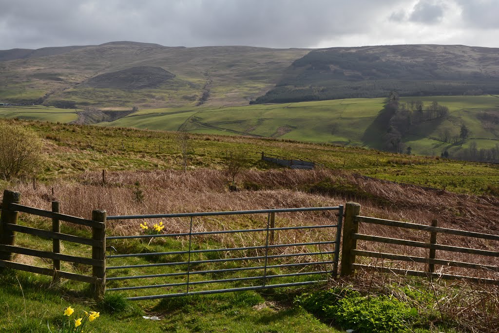 Dumfries and Galloway, UK by A Photographer