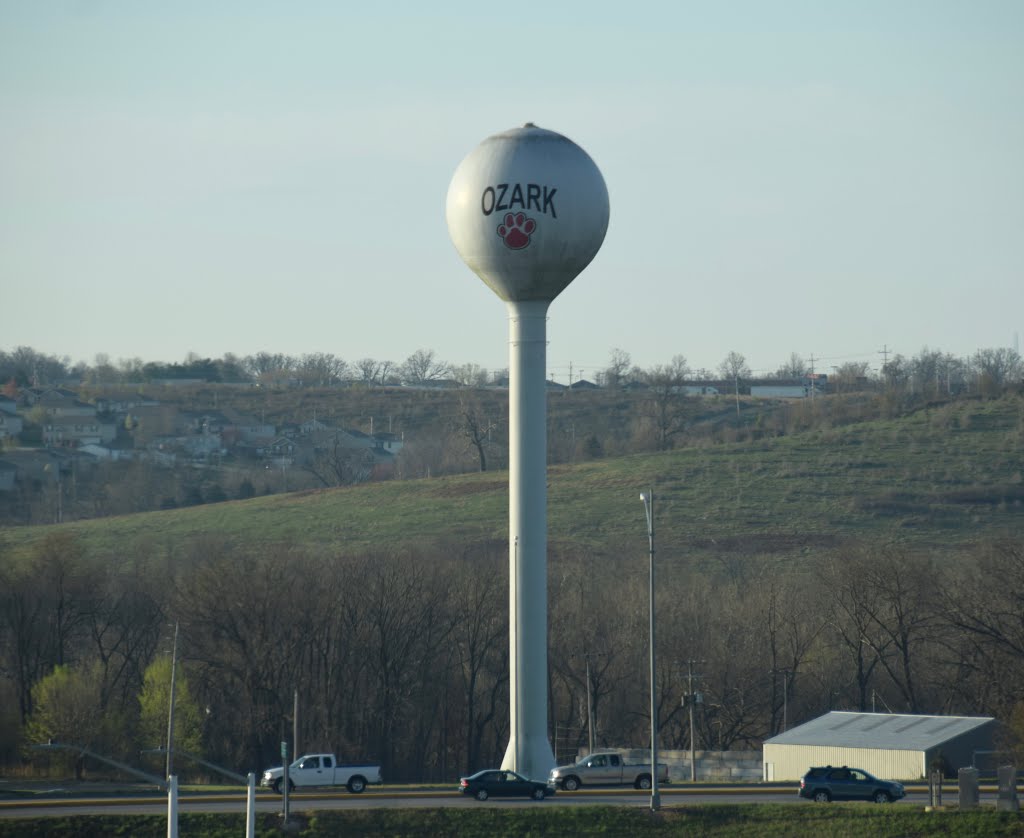 Water tower, Ozark, MO by Buddy Rogers