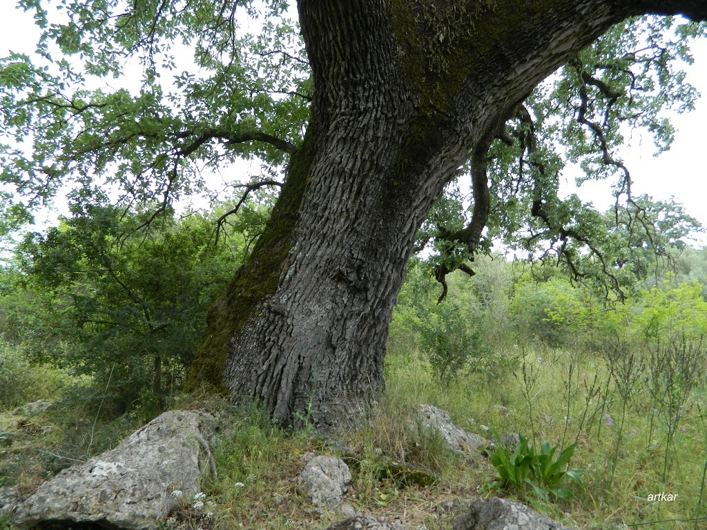 Stratos, Greece by ΚΑΡΑΪΣΚΟΣ  ΤΑΣΟΣ