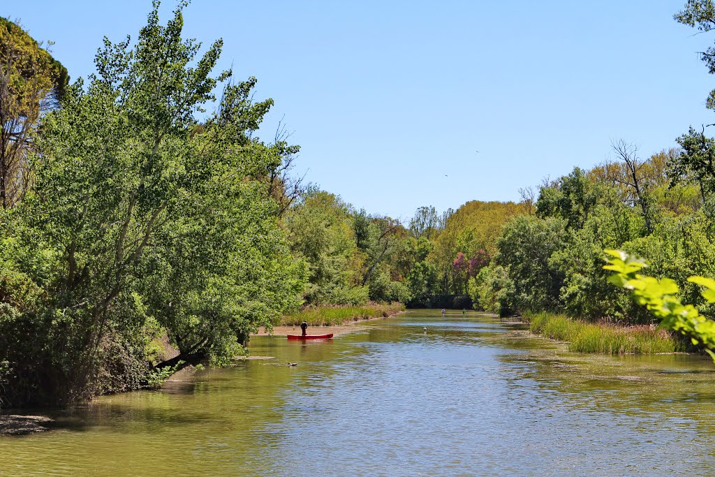 El Río Tajo by RA Melgar