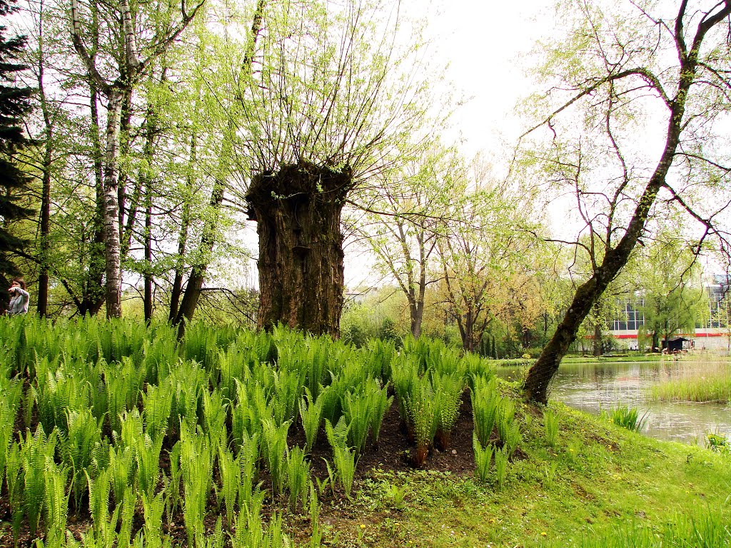 Ogród Botaniczny UMCS Lublin, Polska by Waldemar S