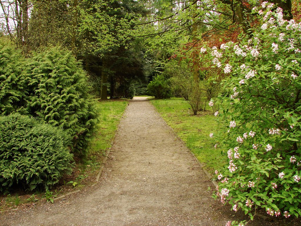 Ogród Botaniczny UMCS Lublin, Polska by Waldemar S