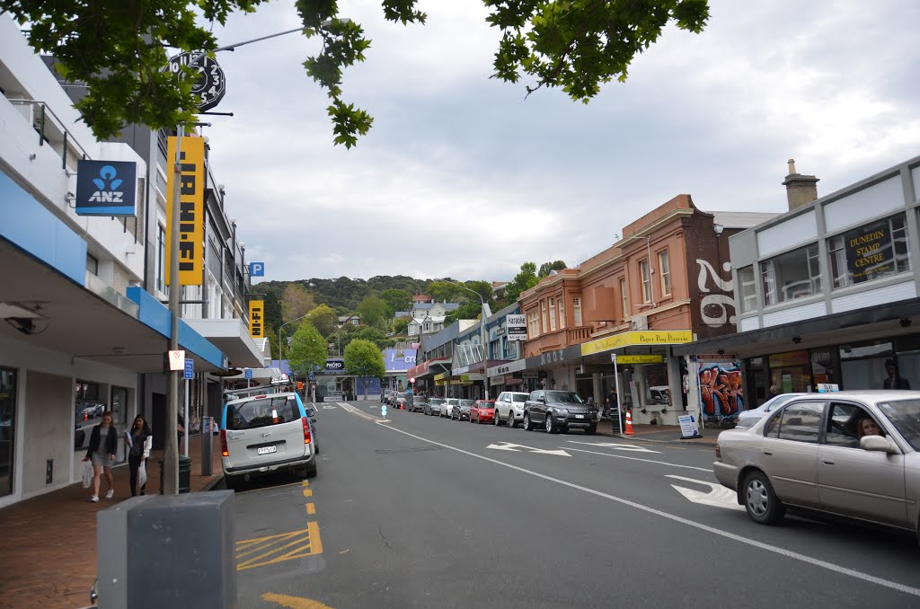 Dunedin, New Zealand by rzin1954