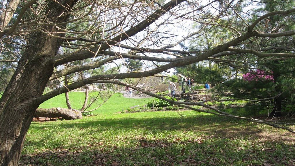 Norway - Oslo Tøyen botanical garden 05/05-2016 by MGnanes