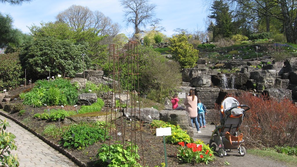 Norway - Oslo Tøyen botanical garden 05/05-2016 by MGnanes