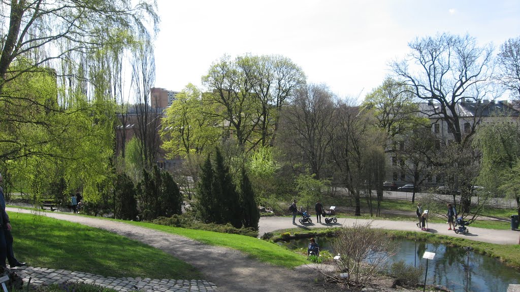 Norway - Oslo Tøyen botanical garden 05/05-2016 by MGnanes