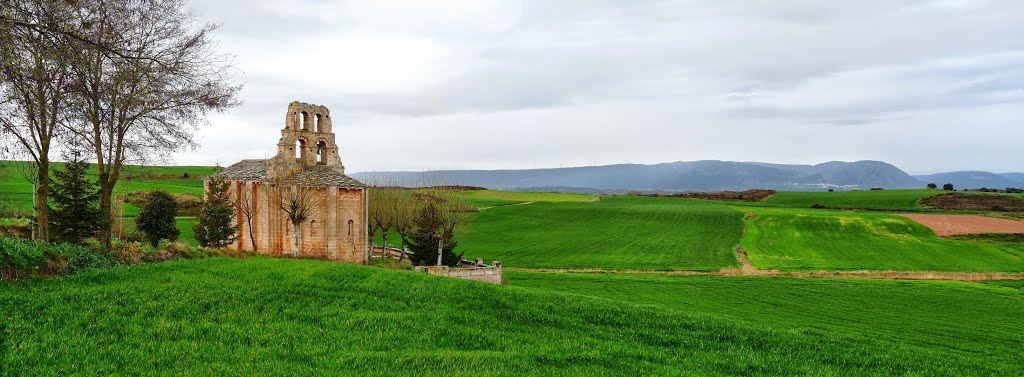 Ermita de San Martín, cerca de Piérnigas de Bureba (Burgos) by Pedro I