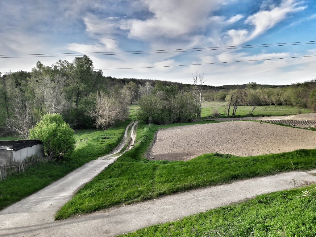 Malyi Bukryn, Kyivs'ka oblast, Ukraine, 08810 by Yuri Sakhno