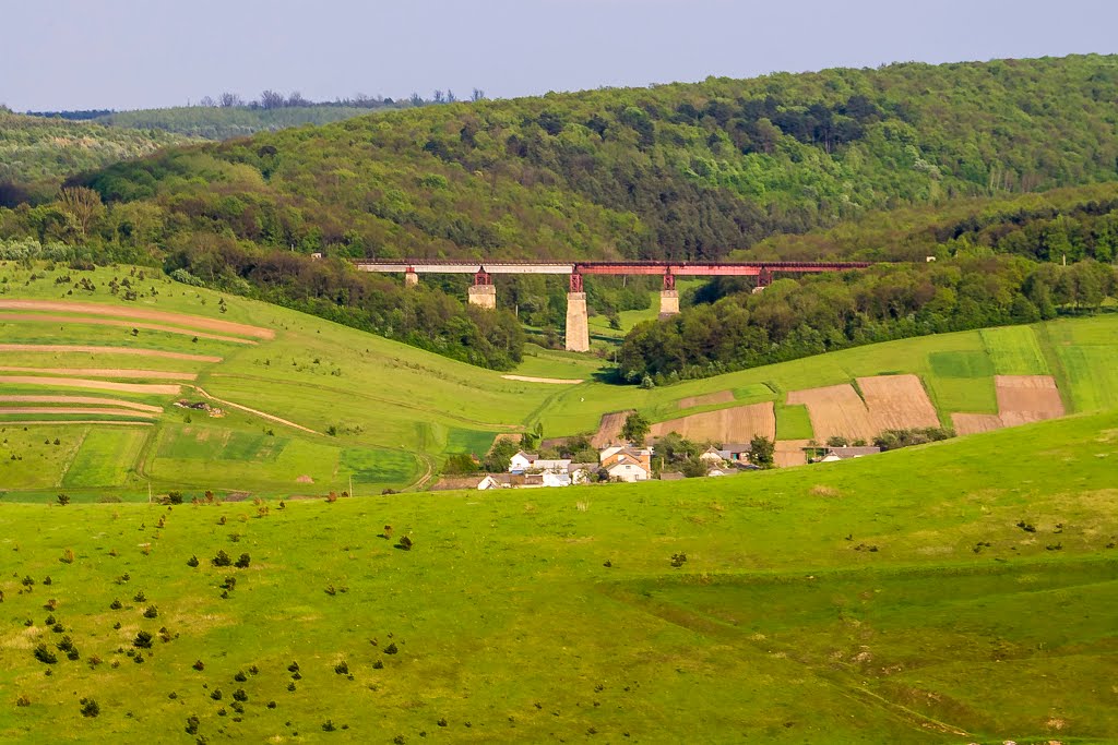 Berezhans'kyi district, Ternopil's'ka oblast, Ukraine by Сергій Потічко