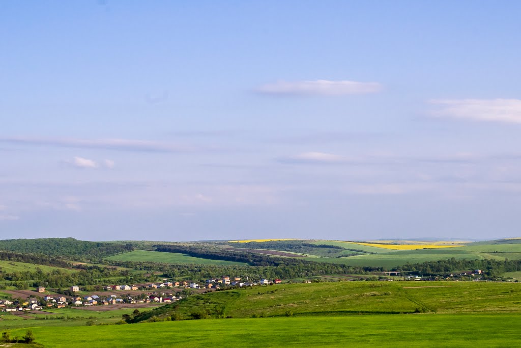 Berezhans'kyi district, Ternopil's'ka oblast, Ukraine by Сергій Потічко