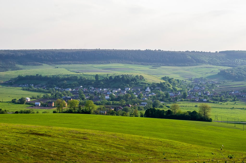 Berezhans'kyi district, Ternopil's'ka oblast, Ukraine by Сергій Потічко