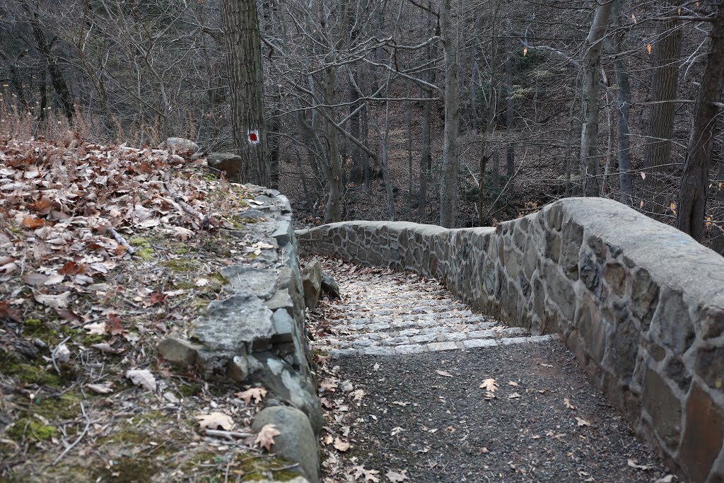 South Mountain Reservation, - Maplewood, Essex County, New Jersey, United States. - November 29, 2015. by mariok40