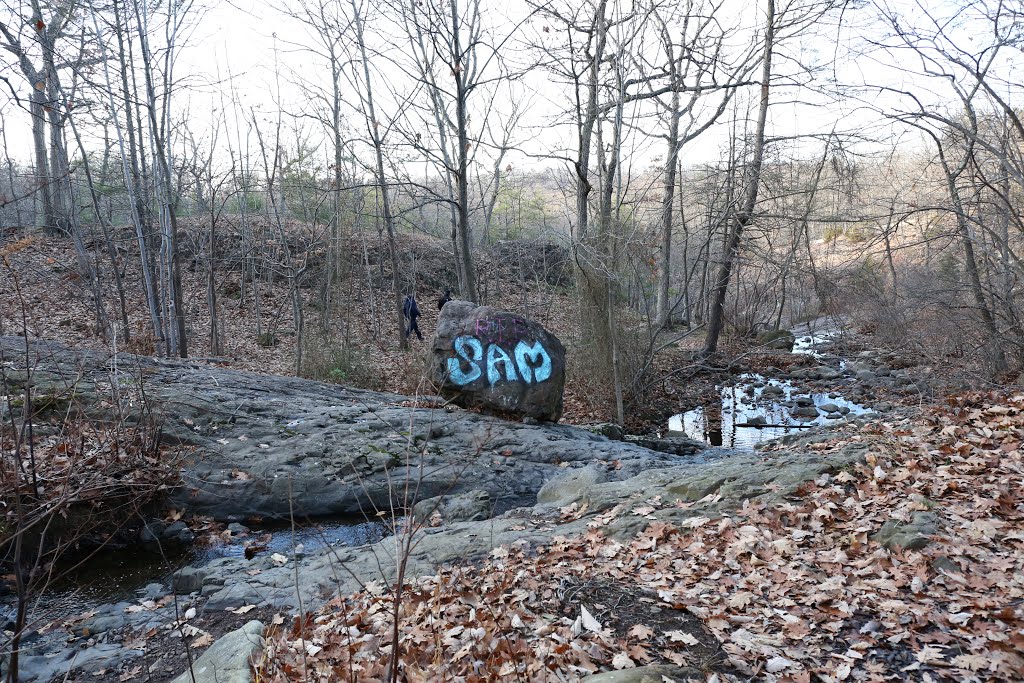 Rahway River West Branch, - South Mountain Reservation, - Maplewood, Essex County, New Jersey, United States. - November 29, 2015. by mariok40