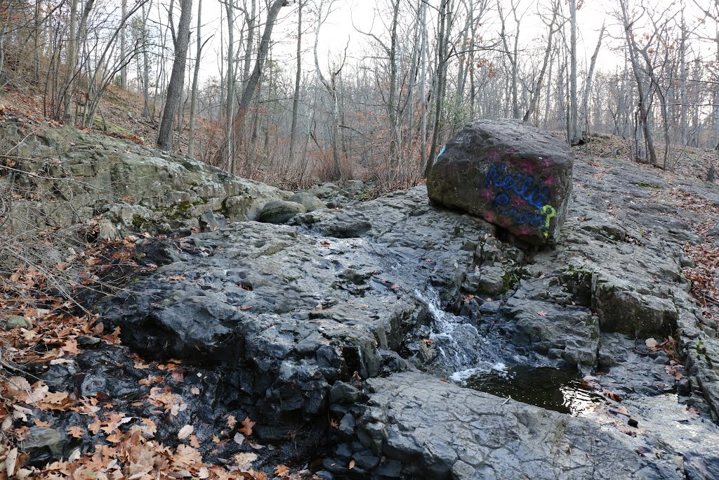 Rahway River West Branch, - South Mountain Reservation, - Maplewood, Essex County, New Jersey, United States. - November 29, 2015. by mariok40