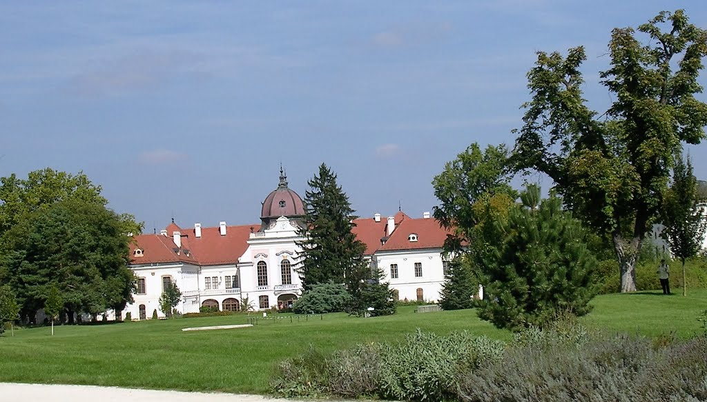 Gödöllő, Hungary by Zoltán Makra