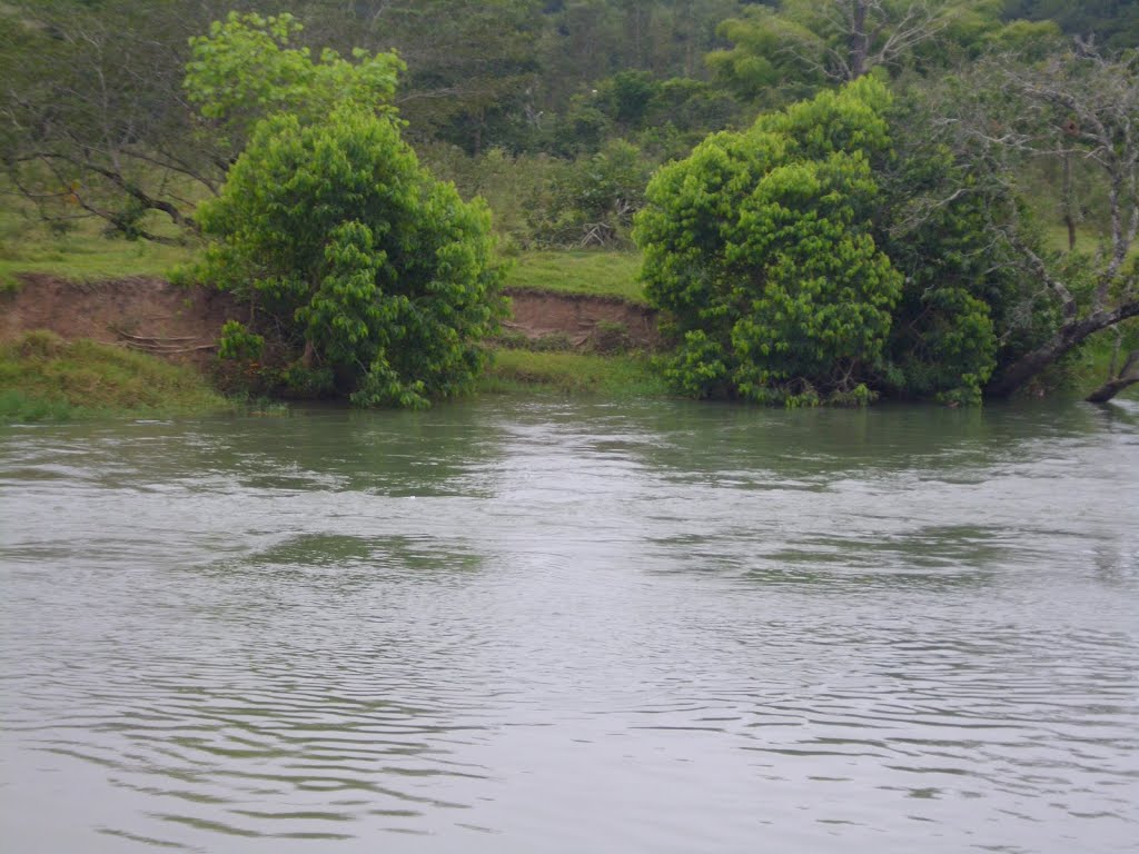 Alto Araguaia [www.klimanaturali.org] by Luciano Mende