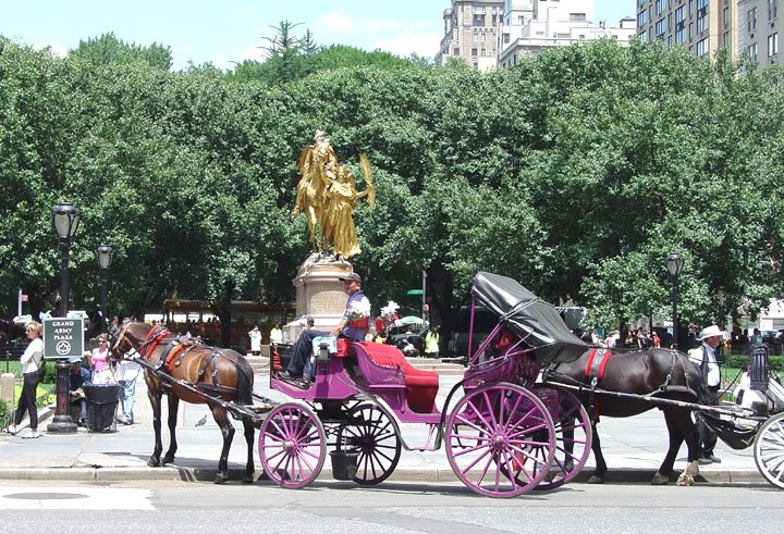 Horse carriages , Central park by bluezamalek