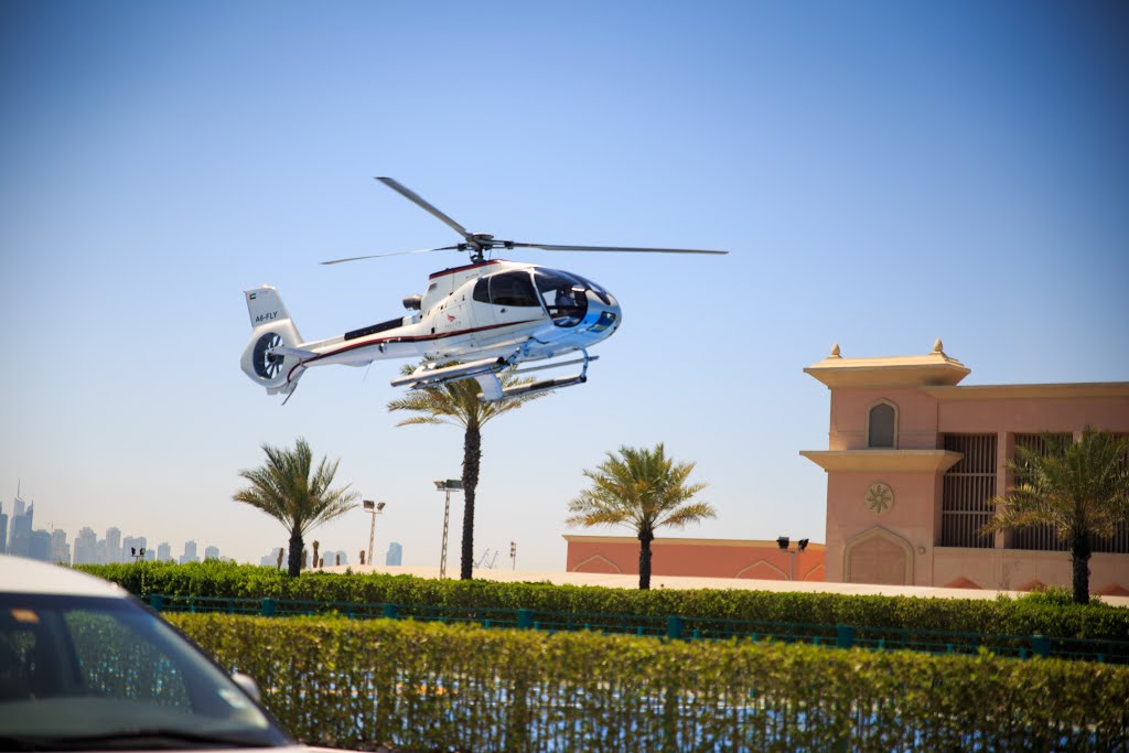 The Palm Jumeirah - Dubai - United Arab Emirates by Alexandra Eremeevska…