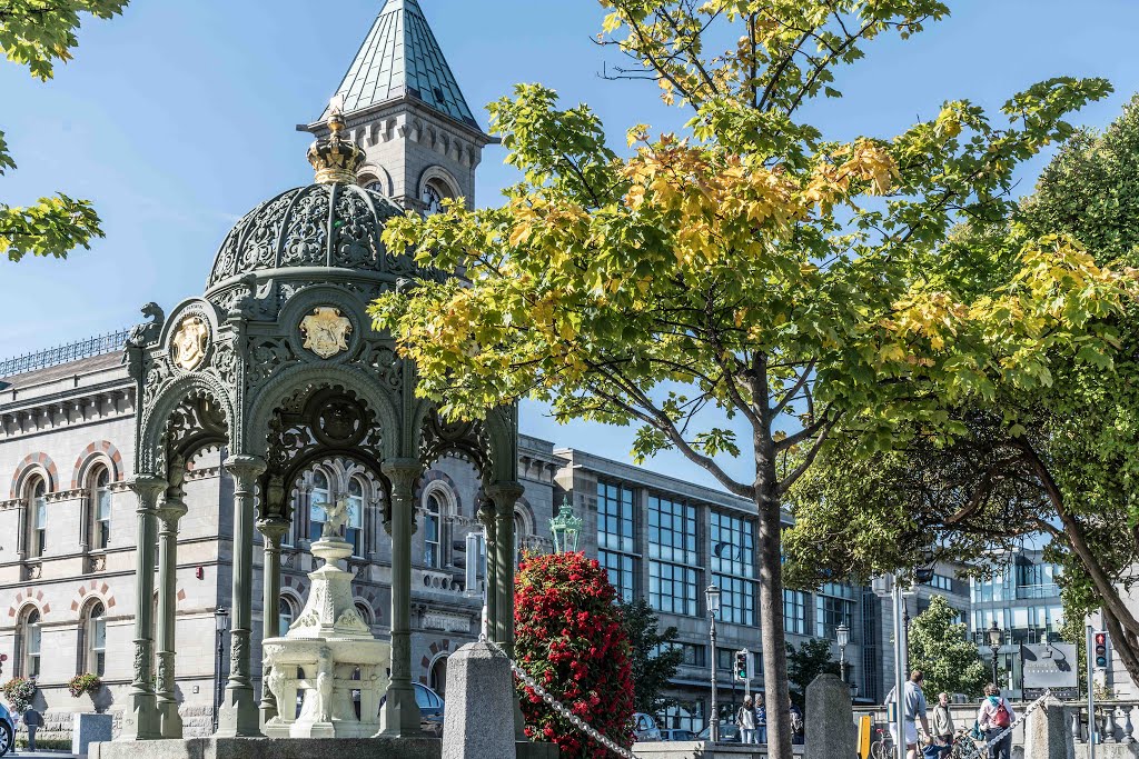 QUEEN VICTORIA FOUNTAIN IN DUN LAOGHAIRE [1900] THIS IS FAVOURITE OF MINE by William Murphy