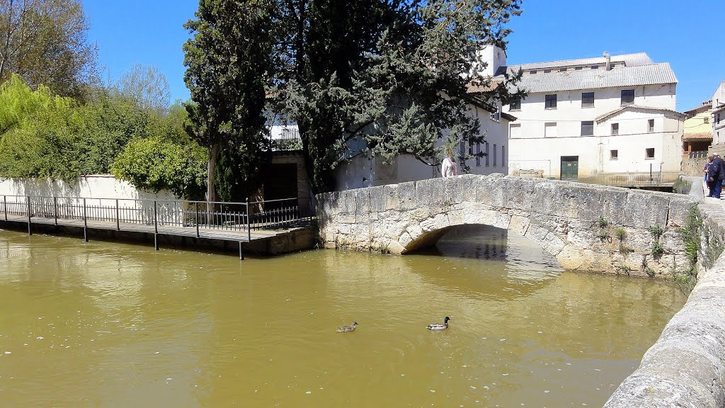 ESPAÑA Río Duero, San Esteban de Gormaz by Talavan