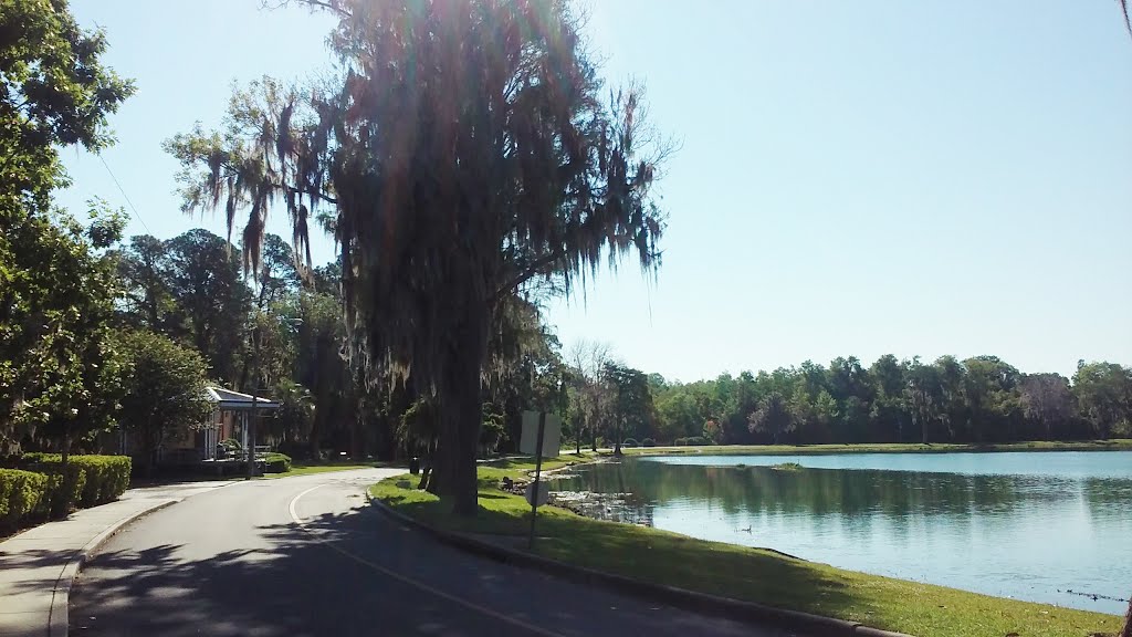 Lake City, FL (2016) by Gary Rodriguez