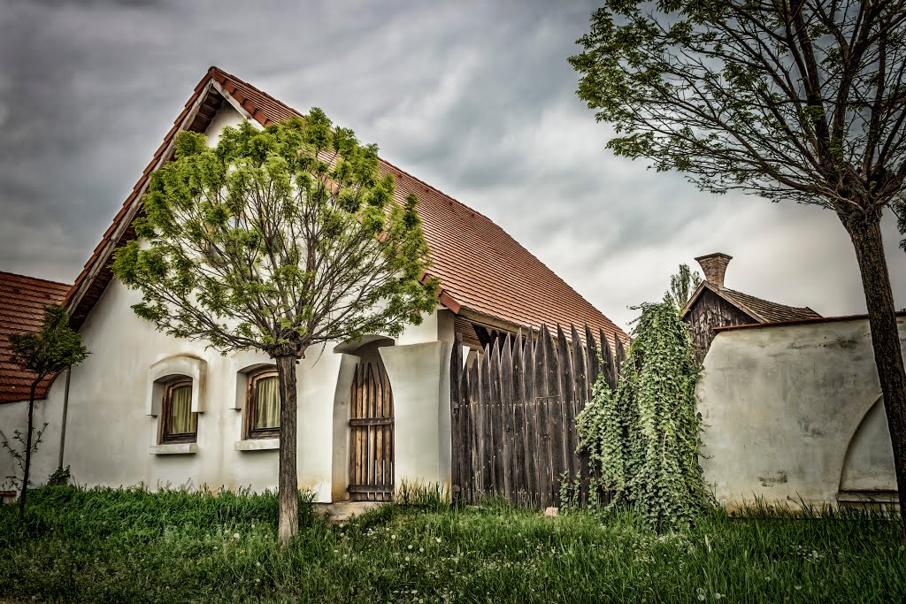 Mártély, a Makovecz házsor egyik parasztháza by Tibor Metál