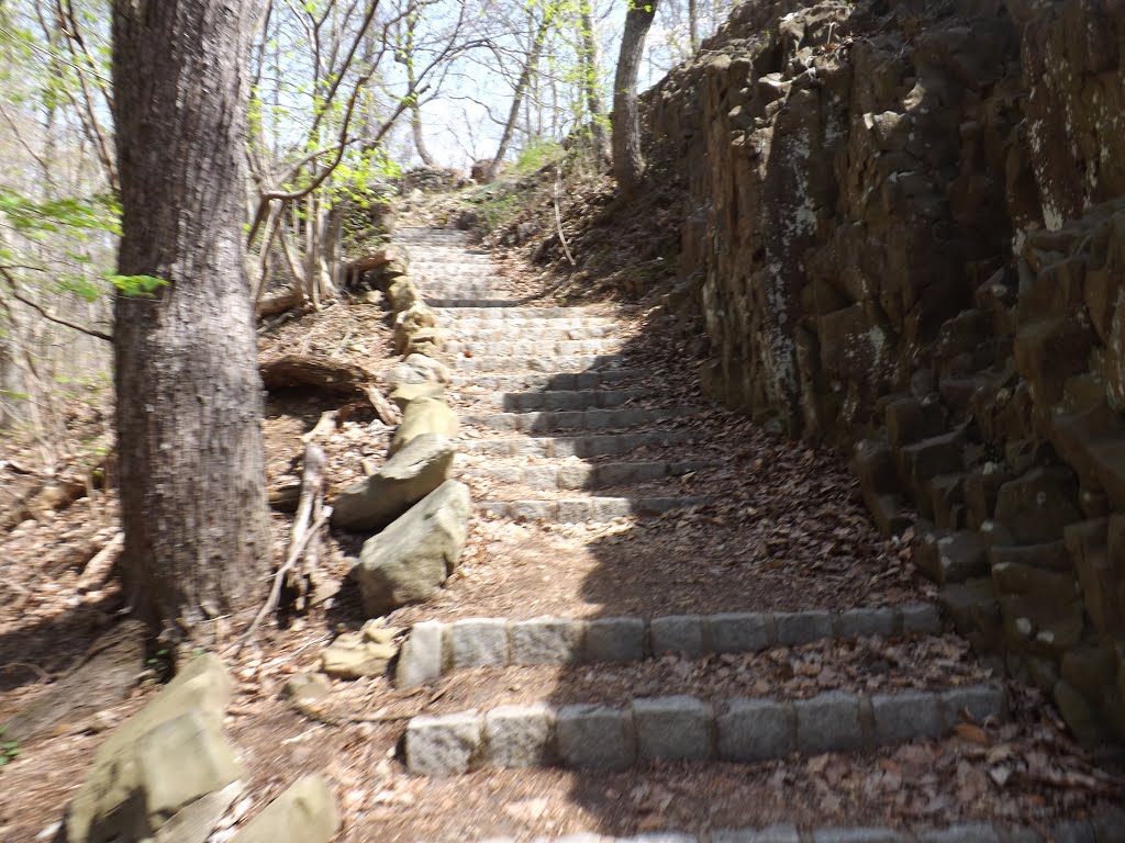 Stairs by Patrick O'Connor