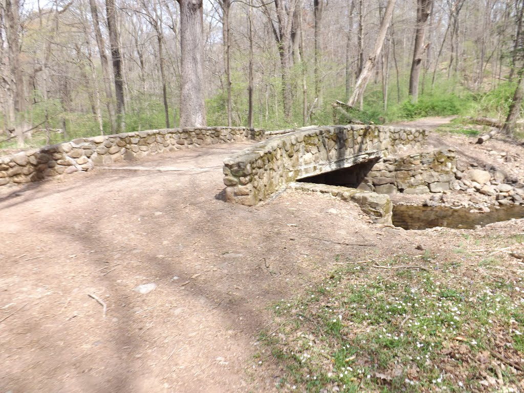 Stone Bridge by Patrick O'Connor